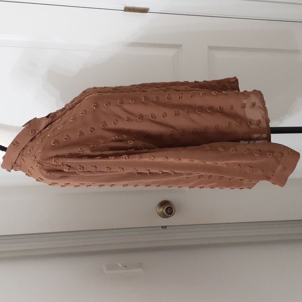 Ubranded Size M Milky Chocolate Brown Swiss Dot Long Sleeve Semi-Sheer Blouse - Picture 5 of 13